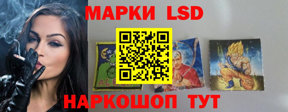 блэк спрут рабочий сайт  Вход с VPN  Жигулёвск  Лсд 25 экстази  LSD-25 экстази кислота  Лсд 25 экстази кислота 