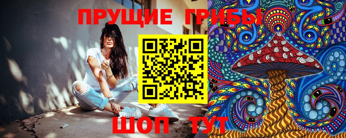 Псилоцибиновые грибы Cubensis  Галлюциногенные грибы Psilocybine cubensis  Жигулёвск  Вход с VPN 